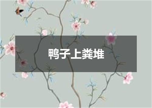 鸭子上粪堆