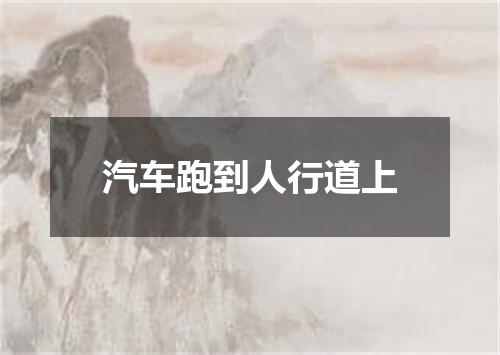 汽车跑到人行道上