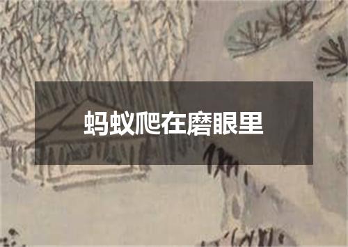 蚂蚁爬在磨眼里