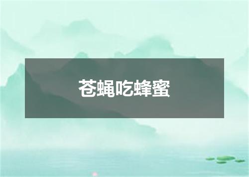 苍蝇吃蜂蜜