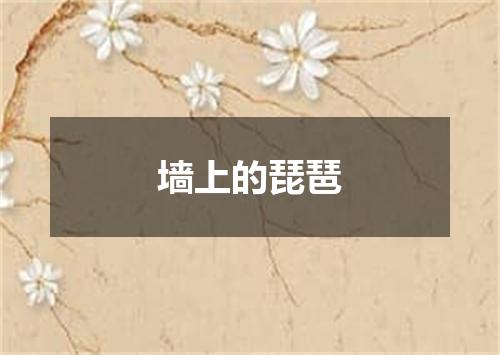 墙上的琵琶