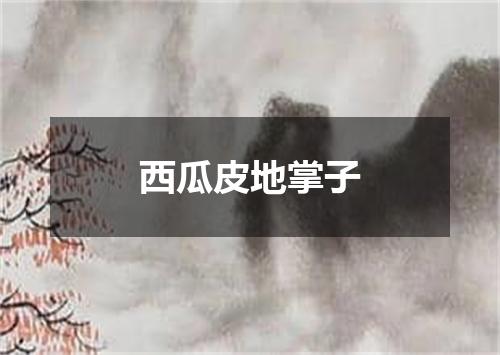 西瓜皮地掌子