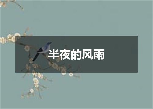 半夜的风雨