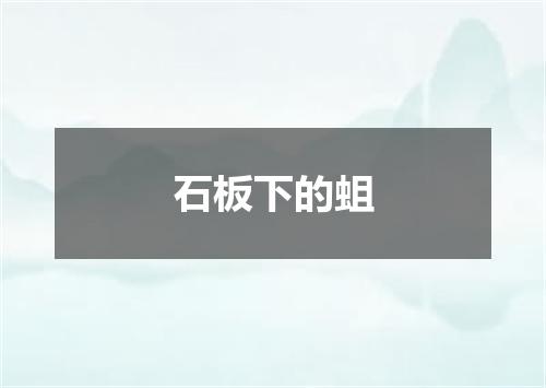 石板下的蛆