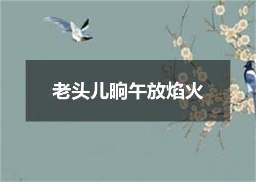 老头儿晌午放焰火