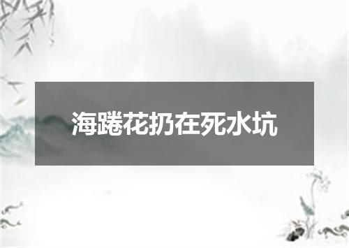 海踡花扔在死水坑