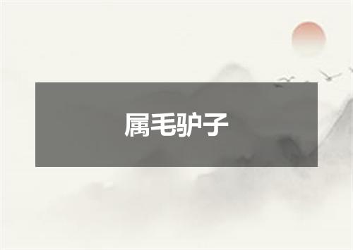 属毛驴子