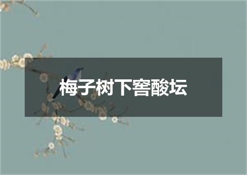 梅子树下窖酸坛
