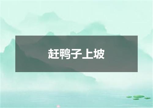 赶鸭子上坡