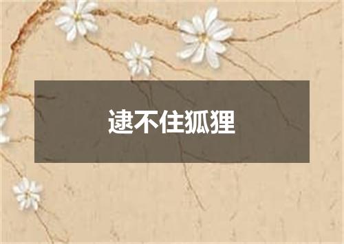 逮不住狐狸
