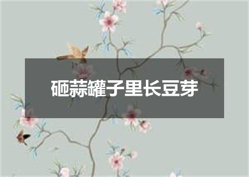 砸蒜罐子里长豆芽