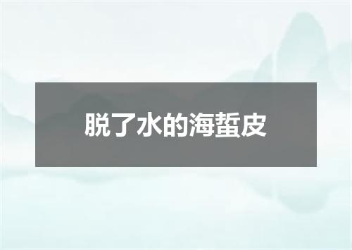 脱了水的海蜇皮