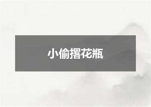 小偷撂花瓶