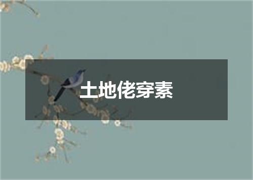 土地佬穿素