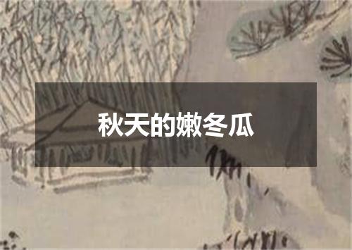 秋天的嫩冬瓜