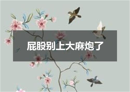 屁股别上大麻炮了