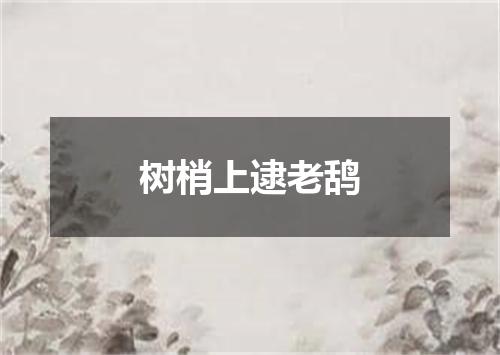 树梢上逮老鸹