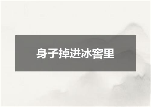 身子掉进冰窖里