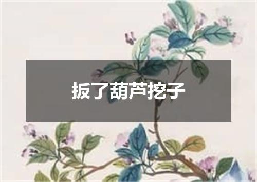 扳了葫芦挖子