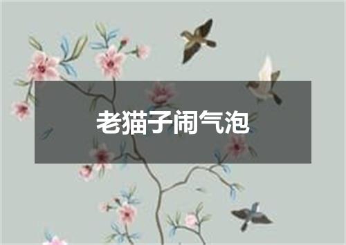 老猫子闹气泡