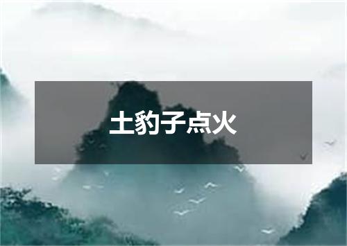 土豹子点火