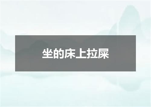 坐的床上拉屎