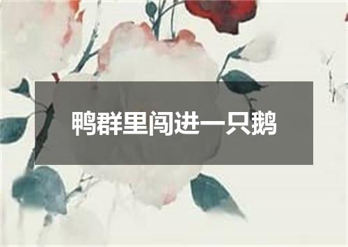 鸭群里闯进一只鹅