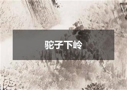 驼子下岭
