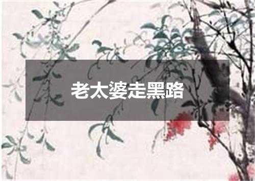 老太婆走黑路