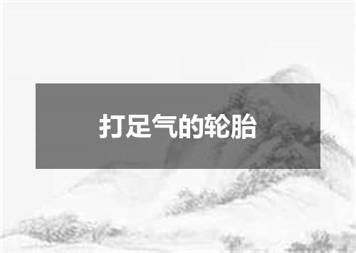 打足气的轮胎