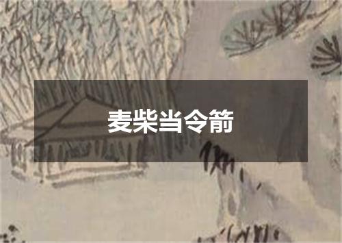 麦柴当令箭