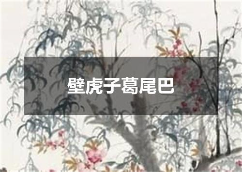 壁虎子葛尾巴