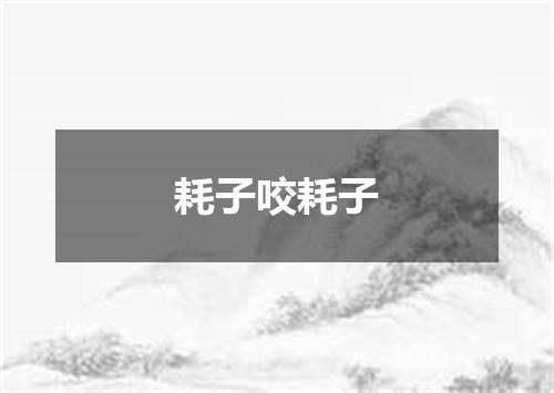 耗子咬耗子