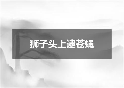 狮子头上逮苍蝇