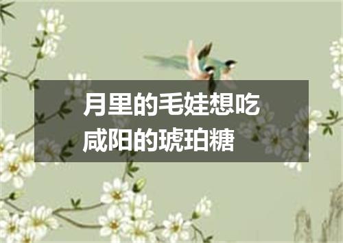 月里的毛娃想吃咸阳的琥珀糖