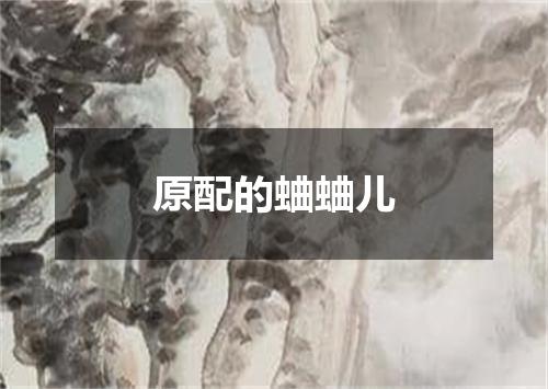 原配的蛐蛐儿