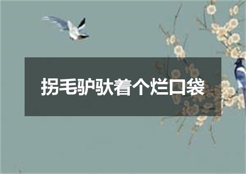拐毛驴驮着个烂口袋
