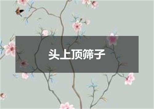 头上顶筛子