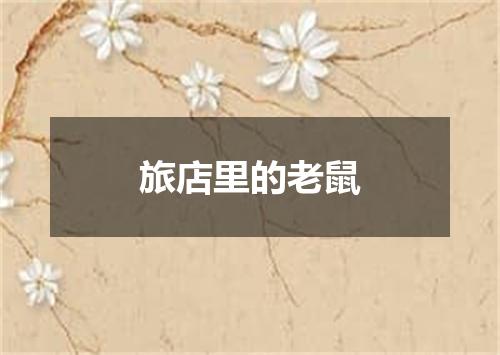 旅店里的老鼠