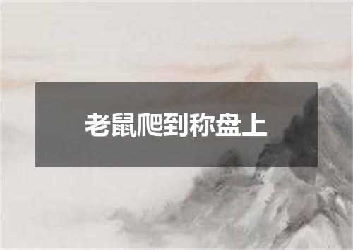 老鼠爬到称盘上