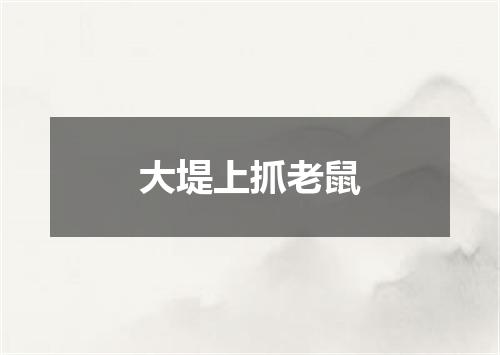 大堤上抓老鼠