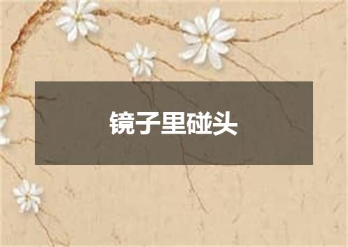 镜子里碰头