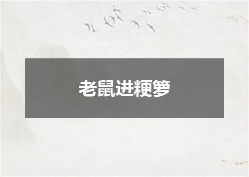 老鼠进粳箩