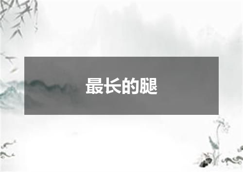 最长的腿