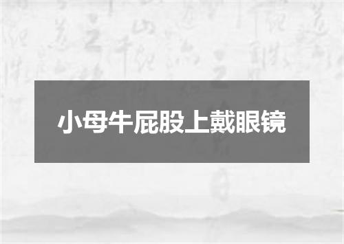 小母牛屁股上戴眼镜