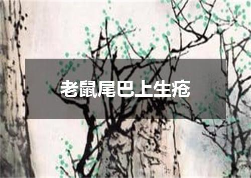 老鼠尾巴上生疮