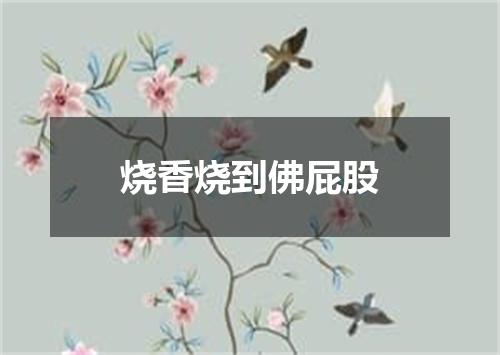 烧香烧到佛屁股