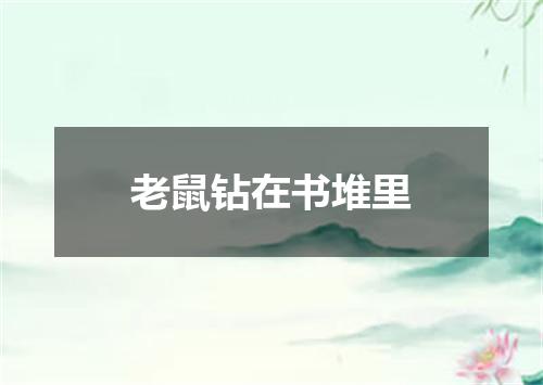 老鼠钻在书堆里