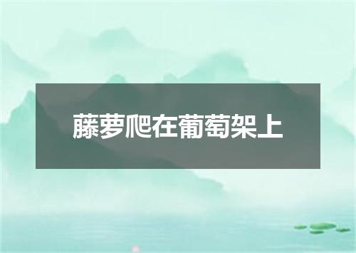 藤萝爬在葡萄架上