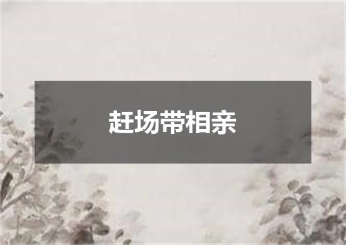 赶场带相亲
